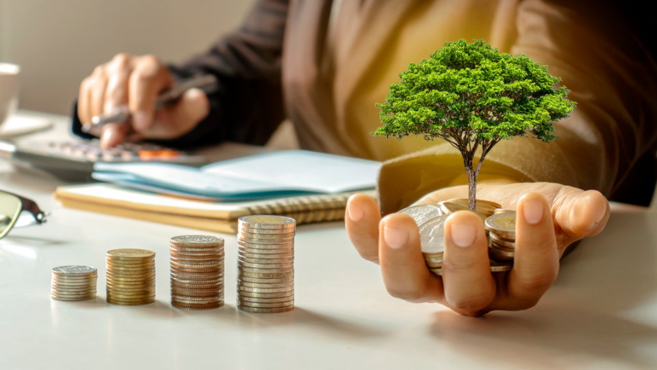 Unlocking Daily Profits: The 3-Step Simple methods To Earn Highly Profits Per Day