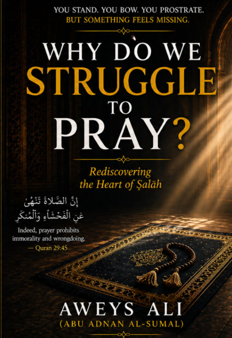 Why Do We Struggle to Pray book cover